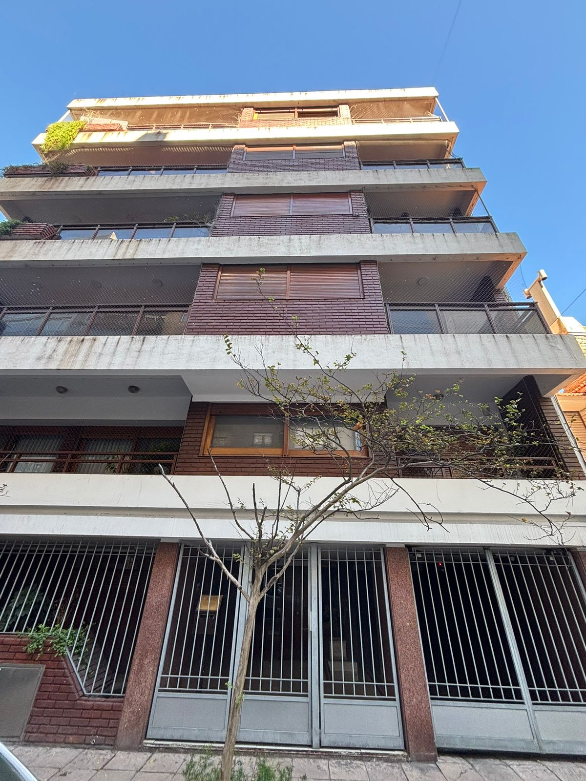 WhatsApp Image 2026-08-26 at 10.30.18 (1) PISO ENTERO DE 200M2 EN ZONA PLAZA MITRE